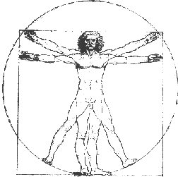 Image 199